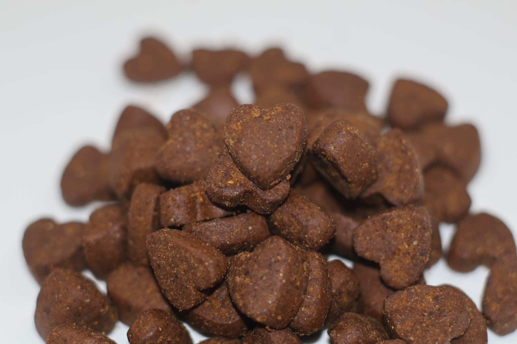 Soft chew pet supplement OEM: moisture, flavour, and 500-unit MOQ