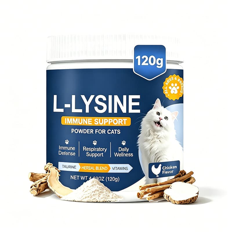 Cat L-Lysine Powder — wholesale pet supplement