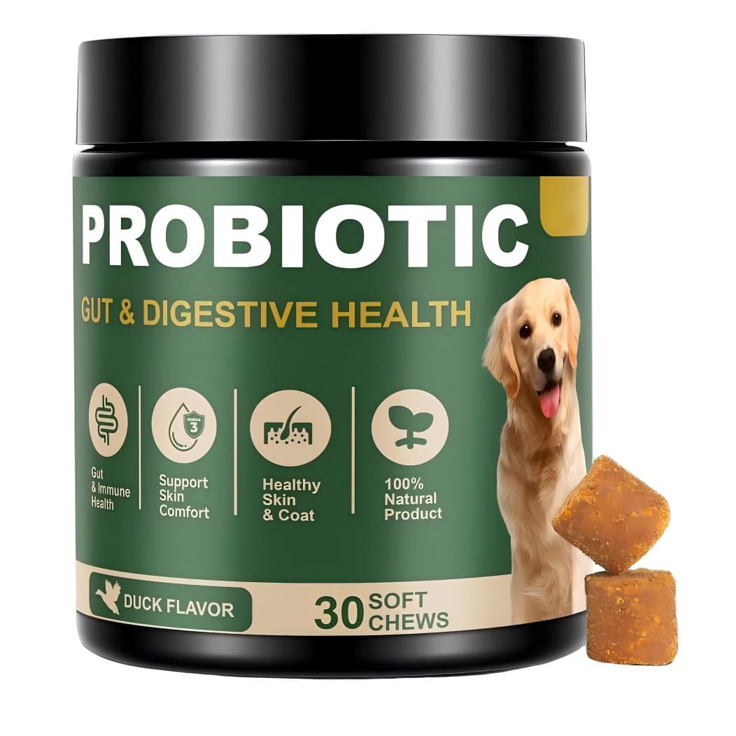 Pet Probiotic Jar Chews — wholesale pet supplement