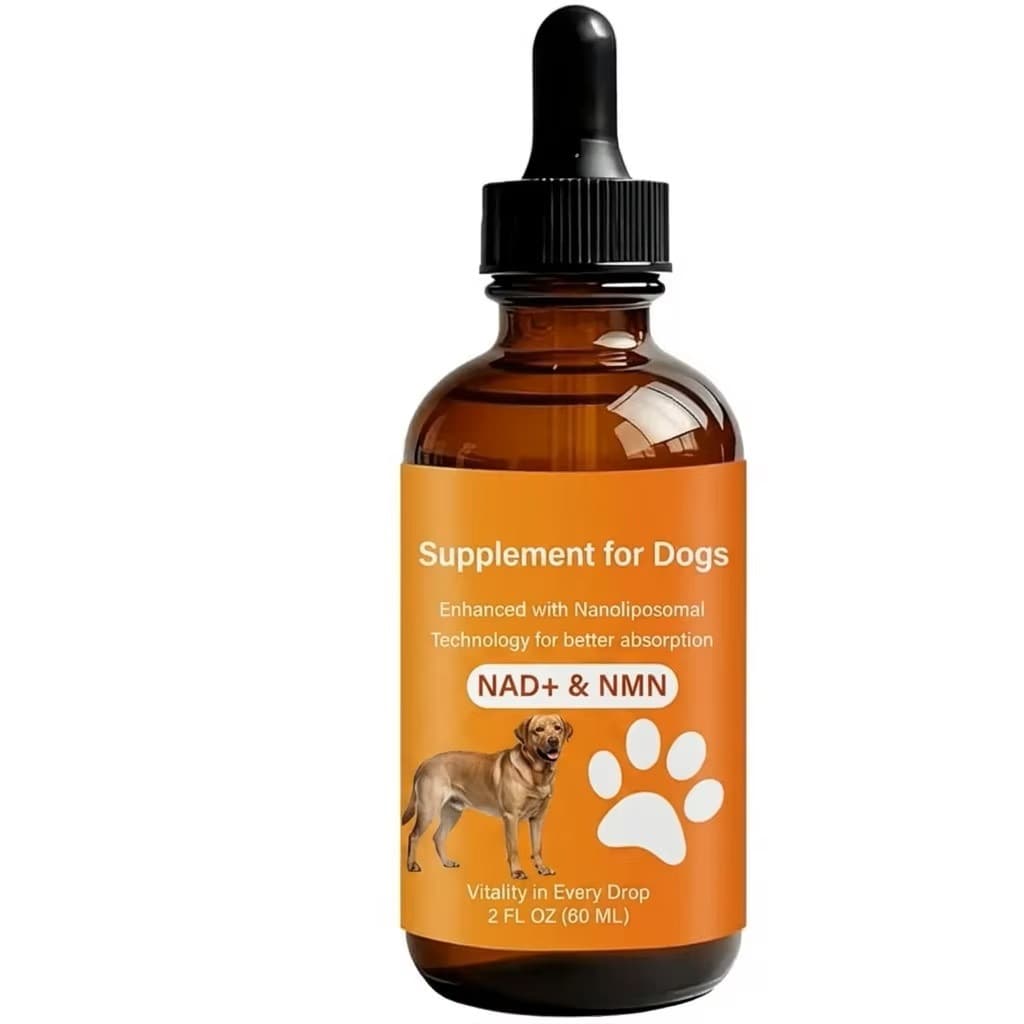 NAD+ Longevity Drops — wholesale pet supplement