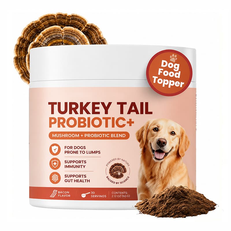 Turkey Tail Mushroom Powder — wholesale pet supplement