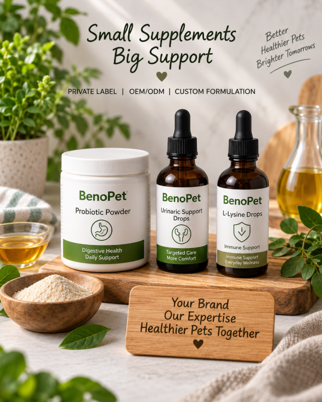 cat supplement for homemade food probiotic powder and drops